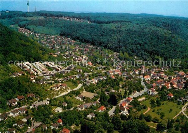 Grenzach-Wyhlen Fliegeraufnahme