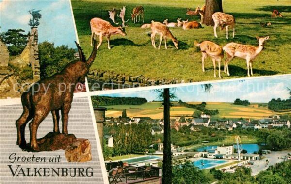 Valkenburg Suedholland Steinbock Rotwild Schwimmbad
