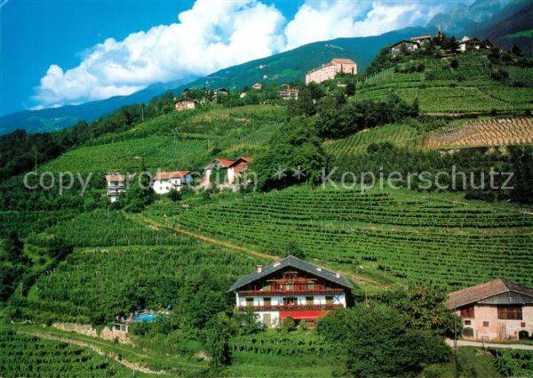 Schenna Meran Pension Petaunerhof