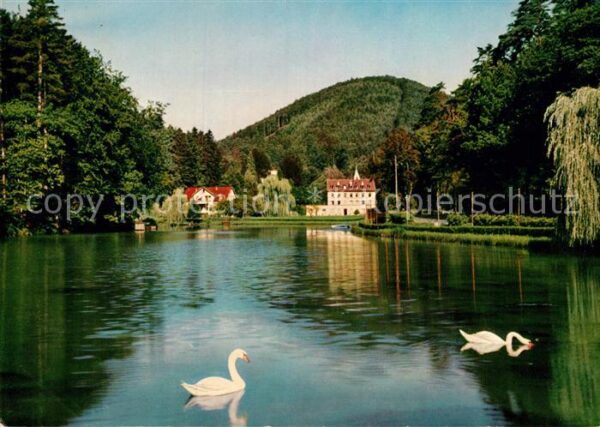 Bad Bergzabern Schwanenweiher