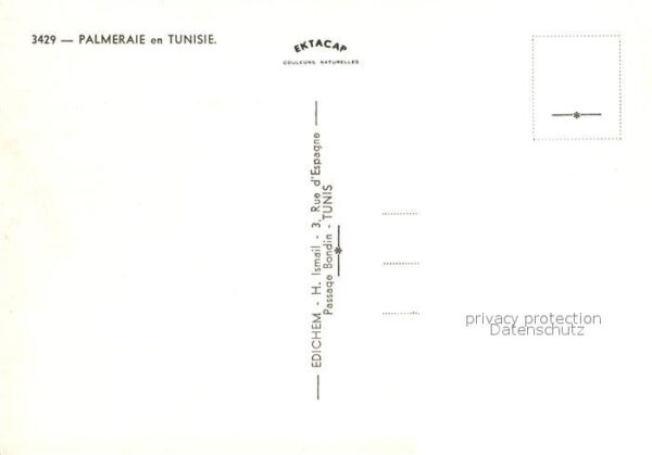 Tunesien Palmeraie – Bild 2