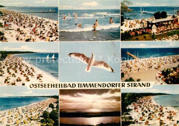 Timmendorfer Strand Badestrände Möwe