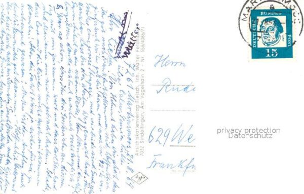 Martinsmoos Gesamtansicht Waldpartie – Bild 2