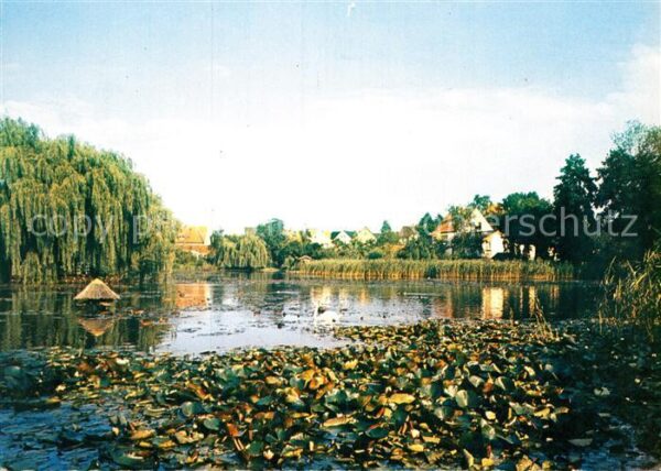 Buende Westfalen Schwanenteich Bürgerpark
