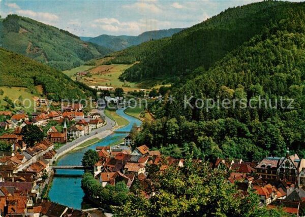 Wolfach Panorama