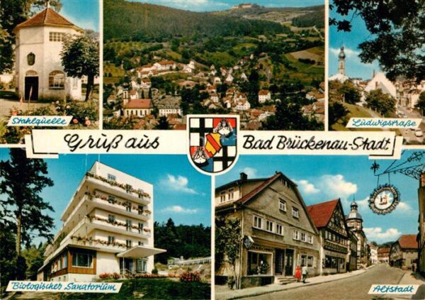 Bad Brueckenau Ludwigstrasse Stahlquelle Biologisches