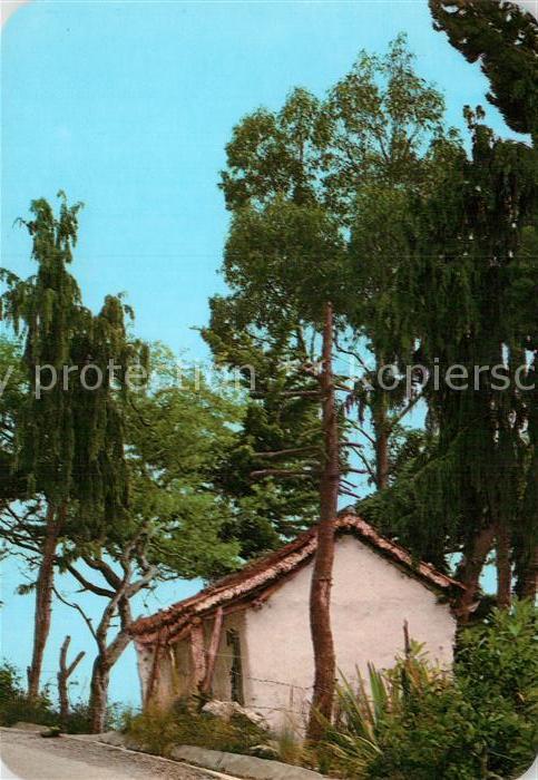 Venezuela Haus im Urwald