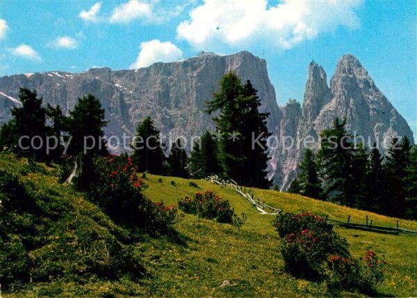 Seiser Alm Dolomiten Panorama