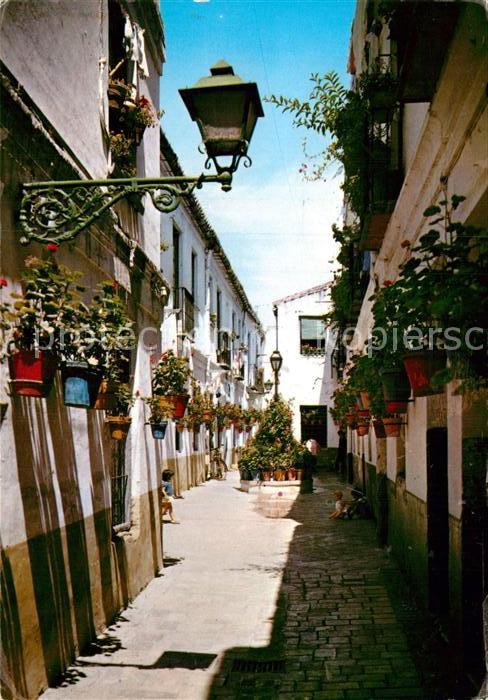 Malaga Andalucia Calle Victoriana