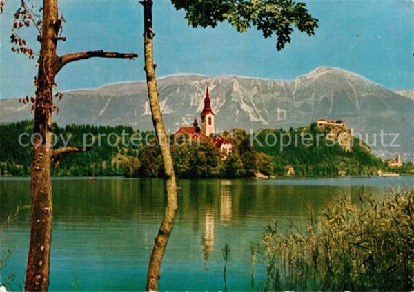 Bled