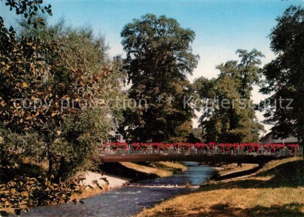 Krozingen Bad Neumagen Brücke Blumen