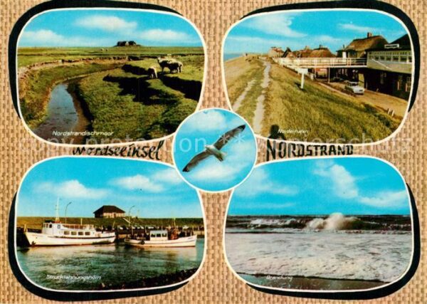 Nordstrand Deich Brandung Hafen