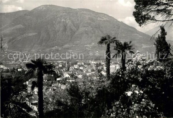Meran Merano Panorama