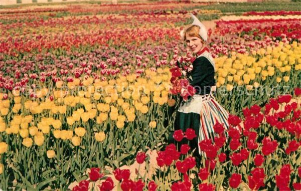 Blumen Tulpen Holland Tracht