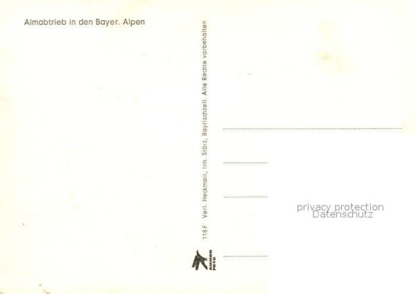 Kuehe Almabtrieb Bayerischen Alpen – Bild 2