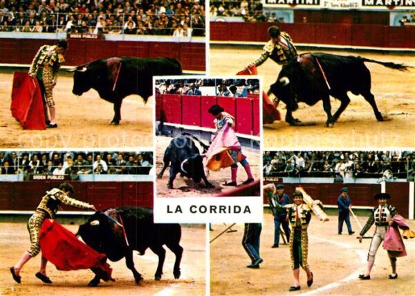 Stierkampf Corrida