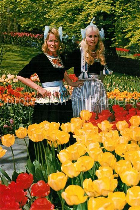 Trachten Holland Tulpen