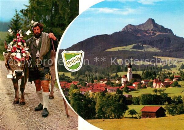 Kuehe Almabtrieb Allgäu Wertach Grünten