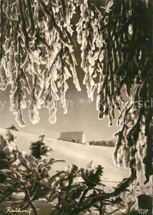 Foto Popp Nr. 1775 Raureif