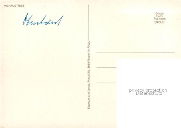 Kuehe Viehaustrieb Allgäu – Bild 2