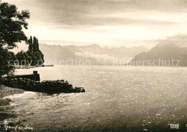 Foto Popp Nr. 3329 Genfer See