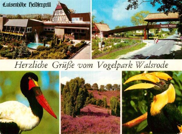 Voegel Vogelpark Walsrode Luisenhöhe Heidjergr