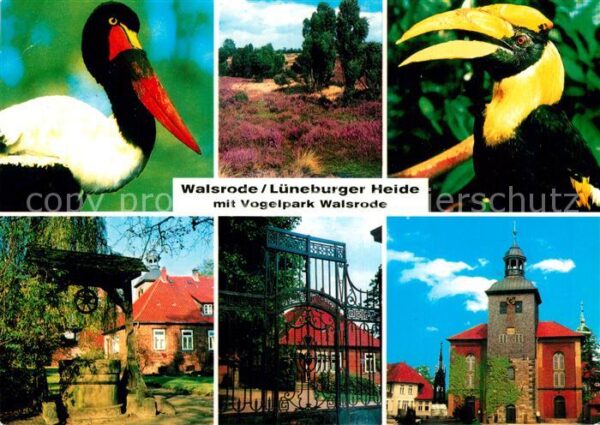 Voegel Walsrode Lüneburger Heide Vogelpark