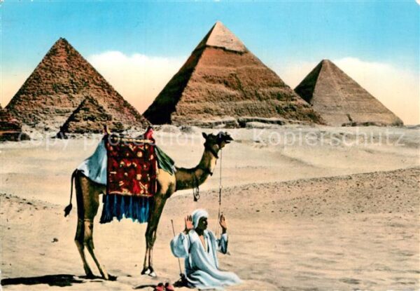 Kamel  Camel Chameau Prayer Pyramids Giza Egypt