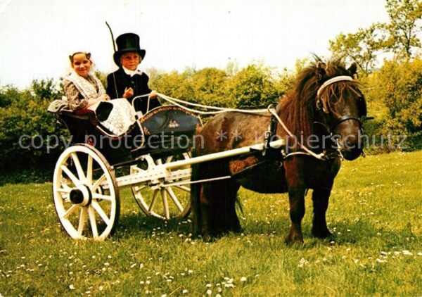 Trachten Holland Friese Klederdracht Kinder Kutsche Pony