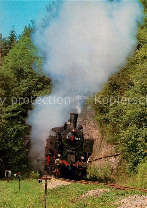 Lokomotive Eurovapor-Sonderzug Wutachtalbahn Grimm