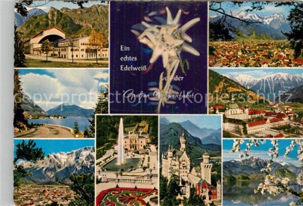 Edelweiss