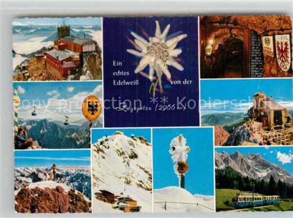 Edelweiss Zugspitze