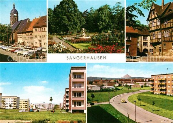 Sangerhausen Suedharz Markt Rosarium Am Kornmarkt Bernhard Kr