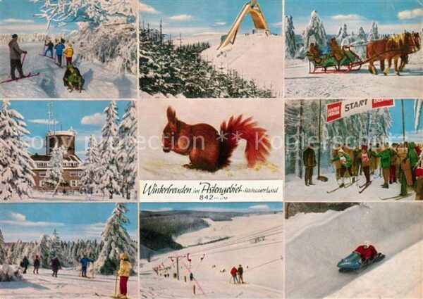 Winterberg Hochsauerland Skipiste Schanze Pferdeschlitten Astent