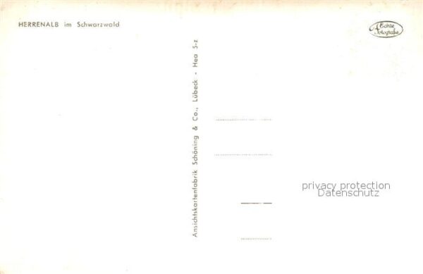 Herrenalb Bad Herrenalb Panorama – Bild 2