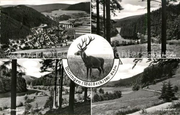 Willingen Sauerland Panorama Blick ins Paradies Hermeketal