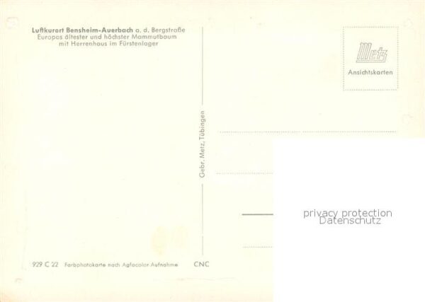 Bensheim Bergstrasse Mammutbaum mit Herrenhaus im Fürstenlag – Bild 2