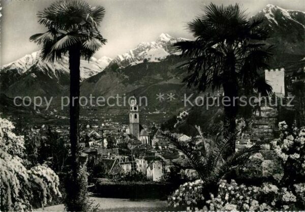 Merano Meran Panorama