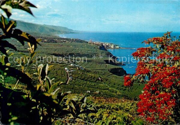 Tenerife Teilansicht des Orotavaltales