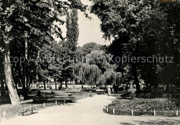 Siofok Park