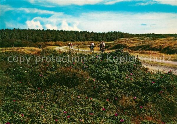 Texel Fletspad door Bos en Duin