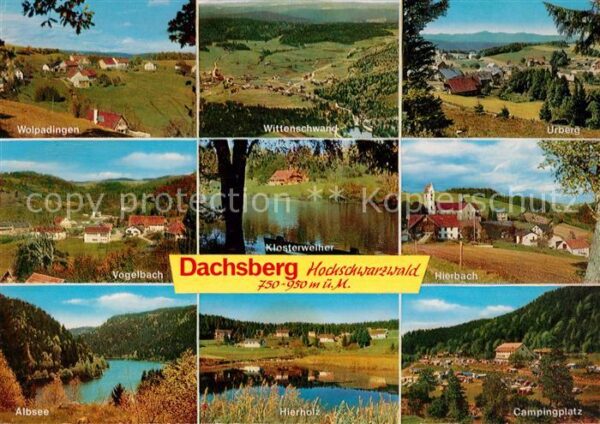 Dachsberg Suedschwarzwald Wolpadingen Wittenschwand Urberg Vogelb