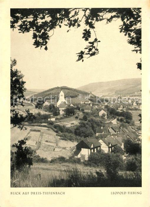 Dreis-Tiefenbach Stadtblick