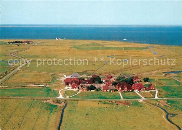 Hallig Hooge Hanswarft und Backenwarft Fliegeraufnah
