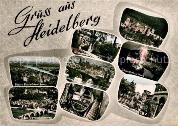 Heidelberg Neckar Panorama vom Rindenhäuschen und Philoso
