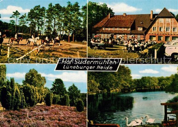 Egestorf Nordheide Hof Sudermühlen Hotel Reitpferde Schwan
