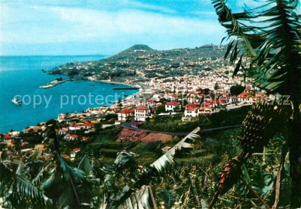 Funchal Vista Oeste