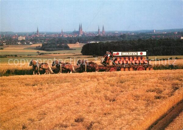 Luebeck Blick vom Pariner Berg Brauereigespann