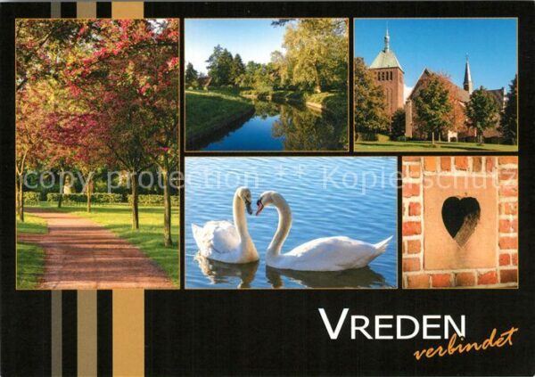 Vreden Kirche Schwäne Panorama
