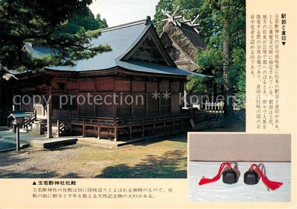 Japan Tamawakasu
